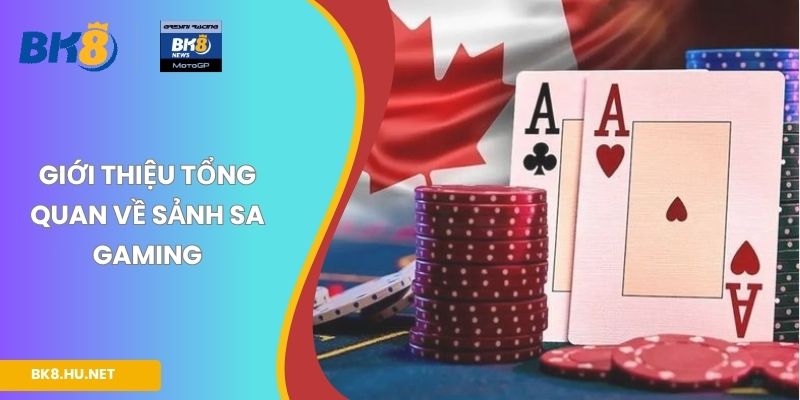 Giới thiệu tổng quan về sảnh SA Gaming