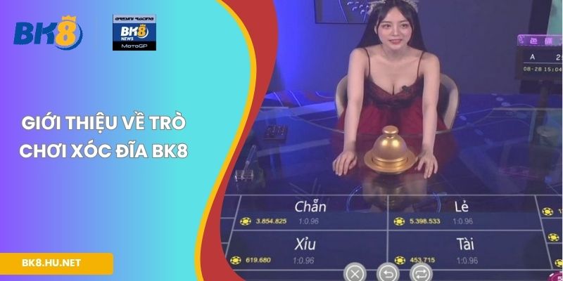 Giới thiệu về trò chơi xóc đĩa BK8