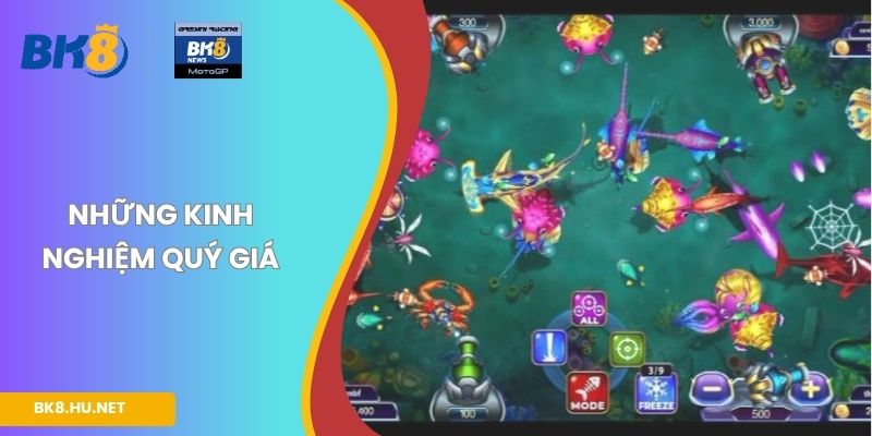 Những kinh nghiệm quý giá