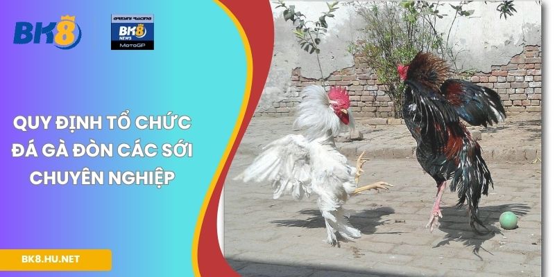 Quy định tổ chức đá gà đòn các sới chuyên nghiệp